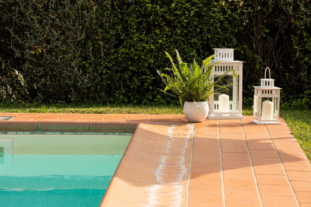בורגו א מוצאנו Casetta Di Butia, Ginestra Apartment With Swimming Pool מראה חיצוני תמונה