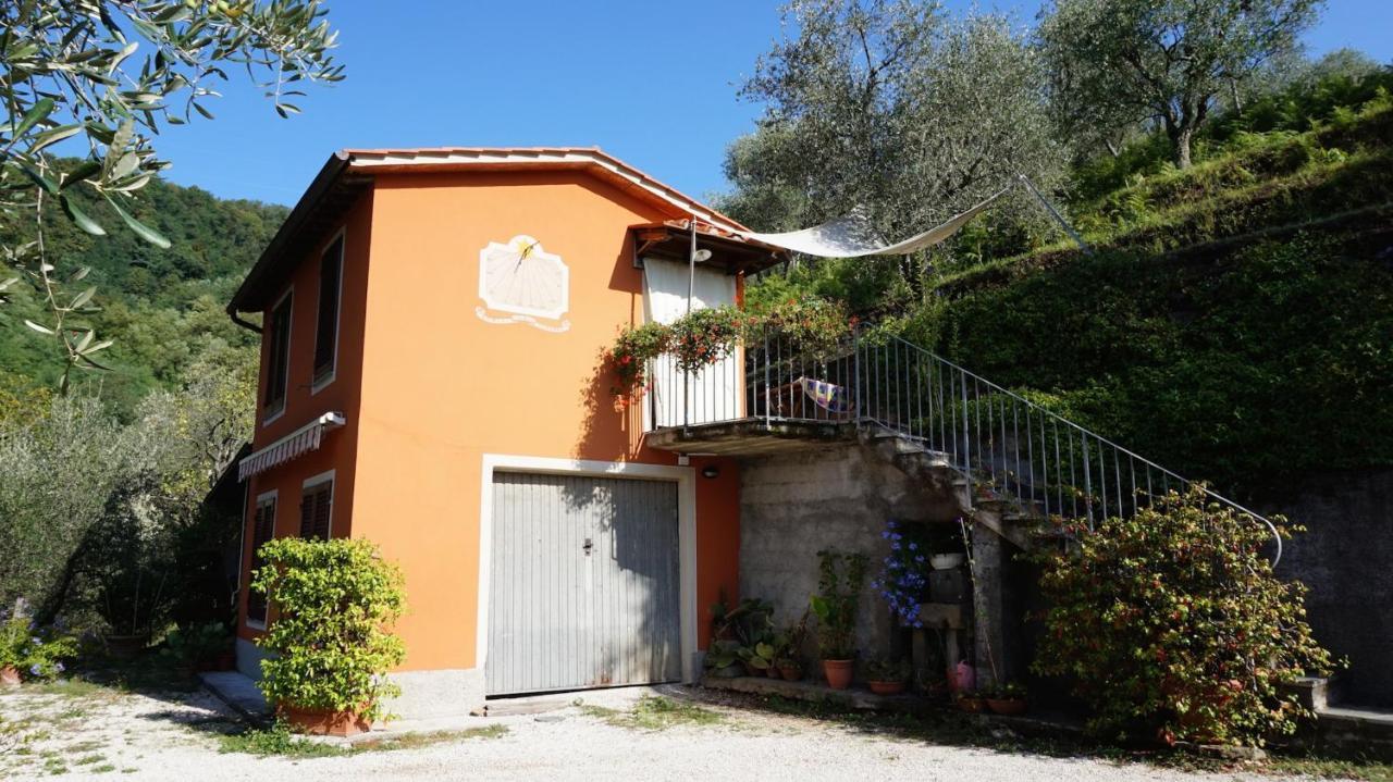 בורגו א מוצאנו Casetta Di Butia, Ginestra Apartment With Swimming Pool מראה חיצוני תמונה