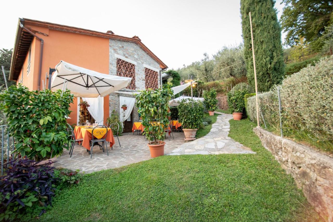 בורגו א מוצאנו Casetta Di Butia, Ginestra Apartment With Swimming Pool מראה חיצוני תמונה