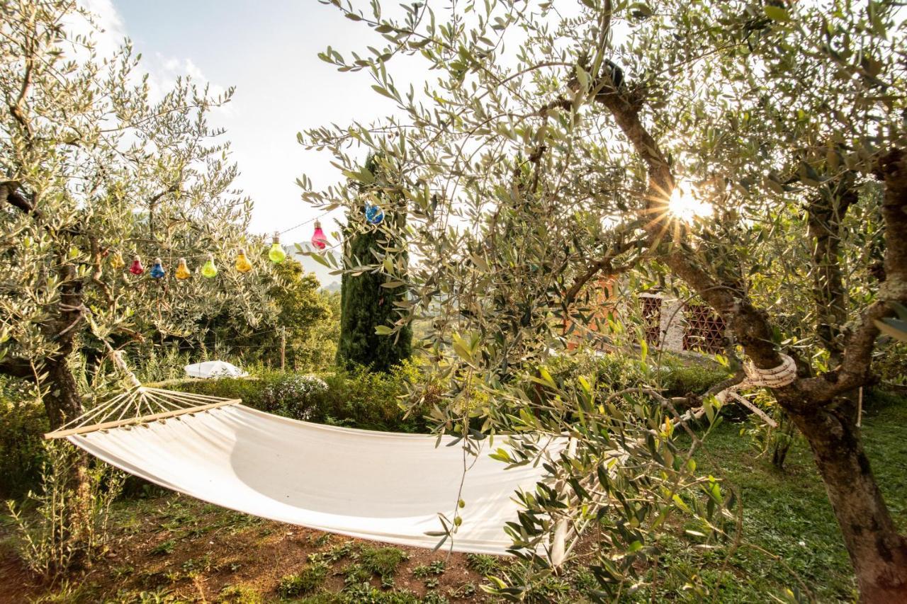 בורגו א מוצאנו Casetta Di Butia, Ginestra Apartment With Swimming Pool מראה חיצוני תמונה