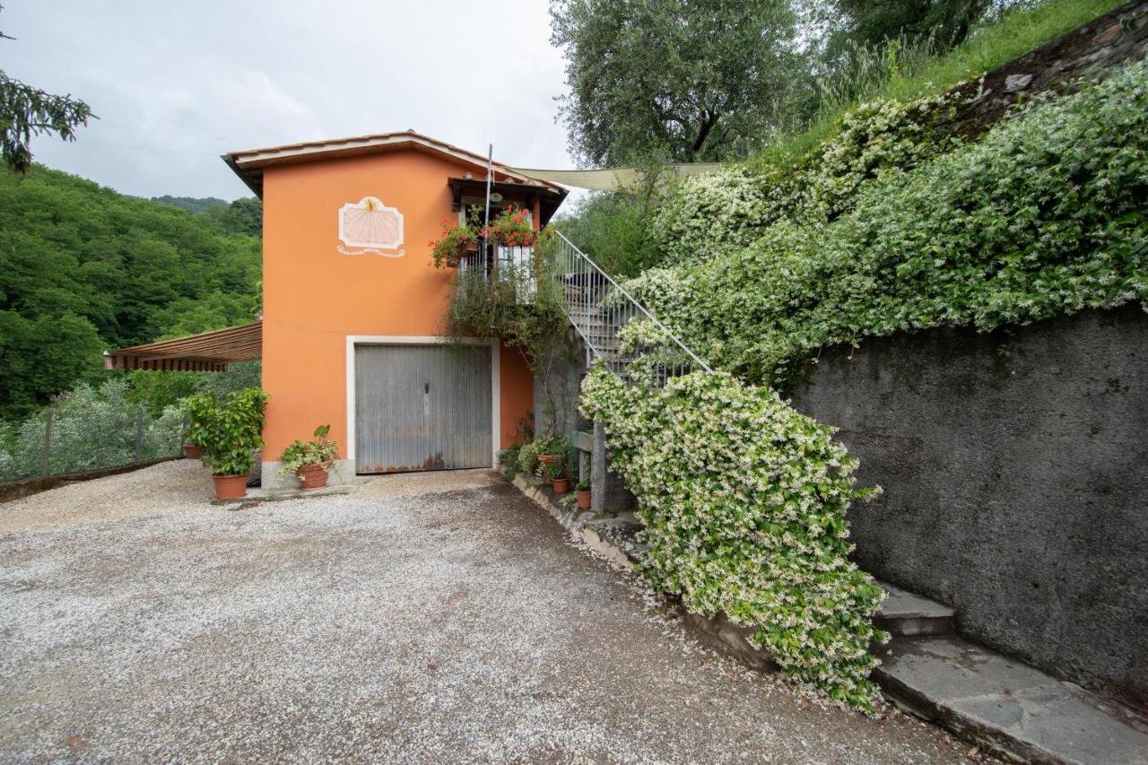 בורגו א מוצאנו Casetta Di Butia, Ginestra Apartment With Swimming Pool מראה חיצוני תמונה